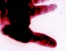 21082009786